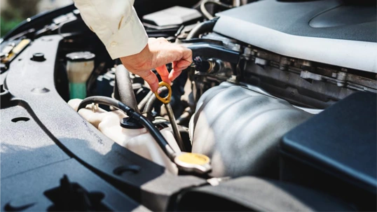 Nissan Servis Cena